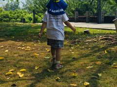 -重庆市江北嘴中央商务区中央公园