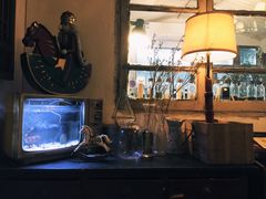 -懒鱼时光馆(沙坪坝店)