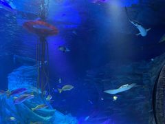 -沈阳海洋探索中心