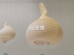 -青岛贝壳博物馆