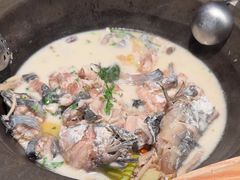 -鲜潭蒸汽石锅鱼(五道口购物中心店)