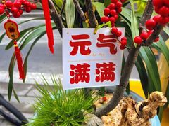 -溪岸路花鸟市场