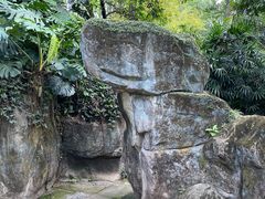 -广州兰圃