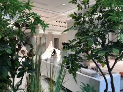 -MuseMarry婚纱(前海嘉里中心店)