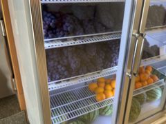 -雾与山茶(大禹城店)