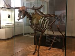 -丹麦国家博物馆