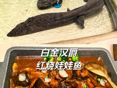 -上海白金汉爵大酒店(大零号湾国际会议中心店)