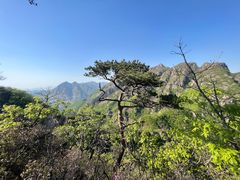 -大连天门山国家森林公园