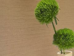 -张福记(五一公园店)