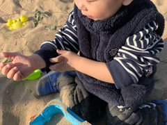 -大兴滨河森林公园