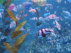 -海合安成都极地海洋公园
