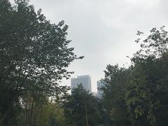 -重庆彩云湖湿地公园