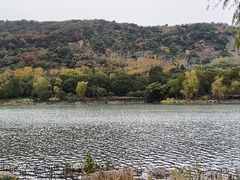 -长广溪湿地公园