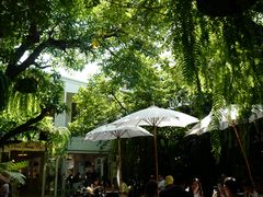 -Fern Forest Cafe