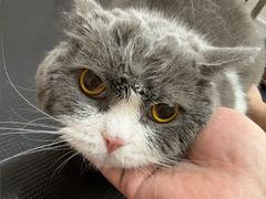 -FAELING PETS美天灵宠物(富力广场店)
