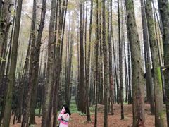 -山王坪喀斯特国家生态公园