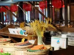 -印象鲵宴·张家界地标美食名片(溪布街店)