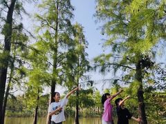 -上海长兴岛郊野公园