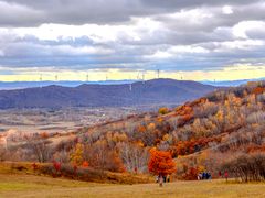 -塞罕坝国家级自然保护区