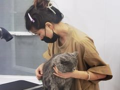 -爱洗澡的猫(天河路店)