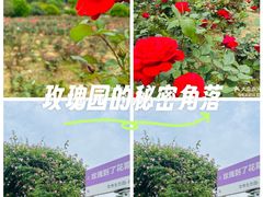 -龙寺生态园