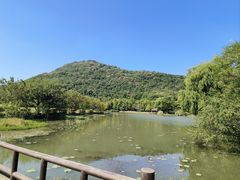 -八卦田遗址公园