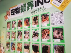 -砂之船奥特莱斯(合肥店)