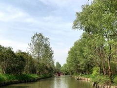 -溱湖国家湿地公园