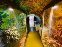 -北京科学中心儿童乐园