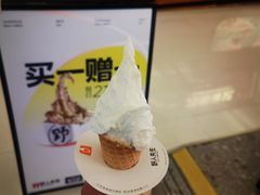 -野人先生现做冰淇淋(北京王府井东方新天地店)