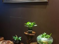 -莱蔻·圣灸堂·推拿艾灸(天山店)