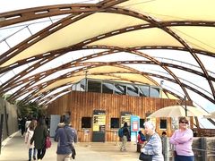 -怀托摩萤火虫洞