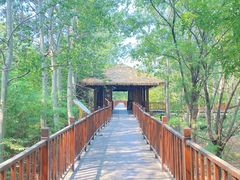 -北京麋鹿生态实验中心