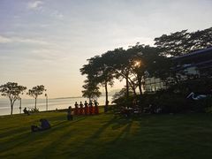 -深圳湾公园(南山区)