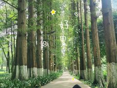 -花溪公园