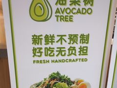 -油梨树AVOCADO TREE(望京店)