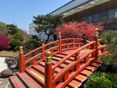 -东方艺术博物馆