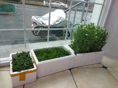 -百年义利(幸福大街店)