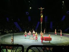 -珠海横琴长隆《卡卡虎奇遇记》