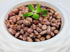 -春茗熙