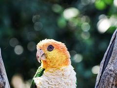 -杭州野生动物世界