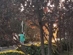 -东北农业大学