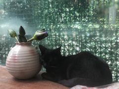 -鸿渡渔庄·特色鸭咀鱼