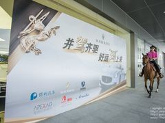 -上海保利玛莎拉蒂和阿尔法罗密欧(华翔路店)