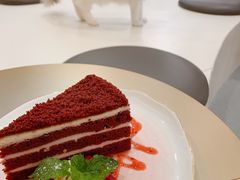-飞行喵MR PILOT|猫舍·猫咖(静安大融城店)