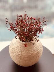 点击看大图 -栖SPA·ONDA ·海菲秀·皑皑科技美肤中心