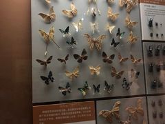 -天津自然博物馆
