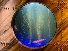 -莉莉海堂HAITANG·烤鸭(国贸商城店)