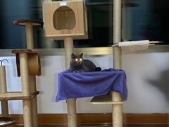 -爱侣宠医·鹦鹉专科·小型哺乳类·异宠专科(灵石路店)