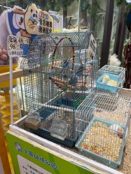 -小象动悟公园(龙湖亦庄天街店)